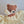 Bamse Nusseklud - Madebyfreddie