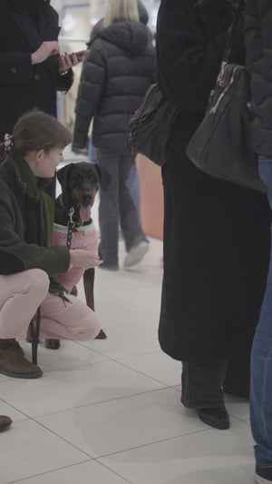 Video 2 trigger image